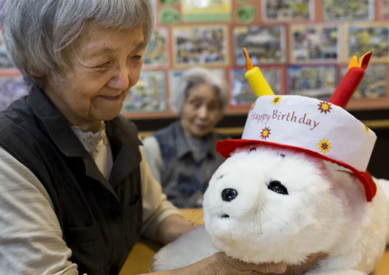 hải cẩu chữa lành